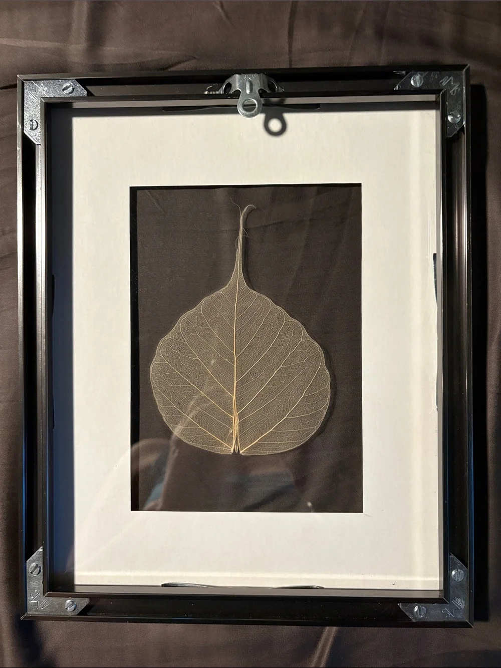 Neutral Skeleton Leaf Framed Wall Art - Set of 2